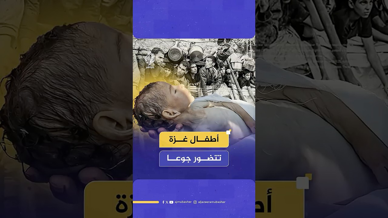 وجوه شاحبة وأجساد تحولت إلى هياكل عظمية.. أرقام مفزعة في ساعات قليلة لشهداء الجوع بقطاع #غزة