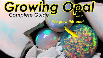Can You Grow Real Opals at home?  Wait till you see the results!!!