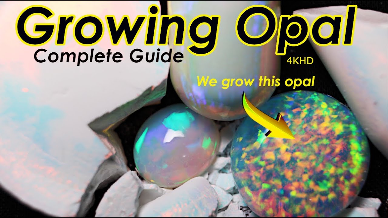 Can You Grow Real Opals at home?  Wait till you see the results!!!