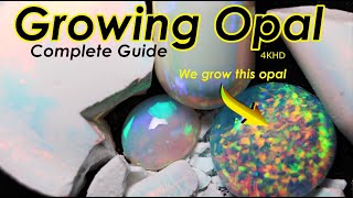 Growing a Real Opal Gemstone Complete Guide to Opal Growing!!!