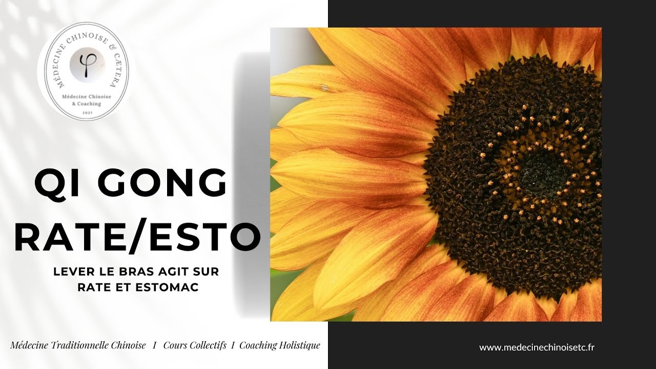 Qi Gong Rate / Estomac