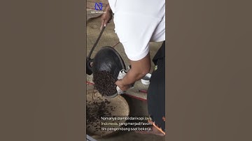 Kamu Nggak Nyangka! Ini Asal Usul Nama Java!  #faktamenarik #FaktaPemrograman #ShortsAI