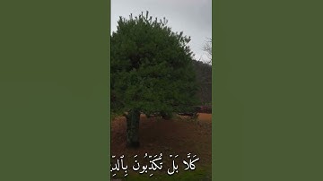 #اكسبلور #القزابري #دويتو #المصحف #duet #تيك_توك #الرحمن سورة الانفطار ماهر المعيقلي