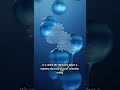 Did you know...? #water #science #learnonyoutube #facts #shorts