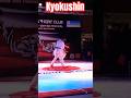 Artofight shorts karate viral kyokushin fight kick art shots tkdko