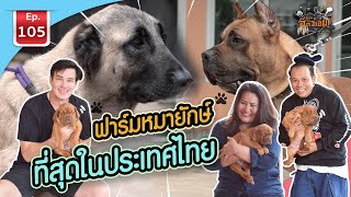 ฟาร์มหมายักษ์ที่สุดในประเทศไทย - เพื่อนรักสัตว์เอ๊ย EP.105