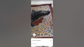 Alligator in my house | Google AR/VR animals in 3d AR|