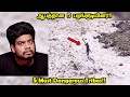 சாதாரண மனிதர்களை பார்த்தாலே சாகடிக்கும் 5 பழங்குடியினர் | Most Dangerous Tribes | RishiPedia | Tamil