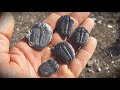 Fossil Digging for 500 Million Year Old Trilobites in Utah