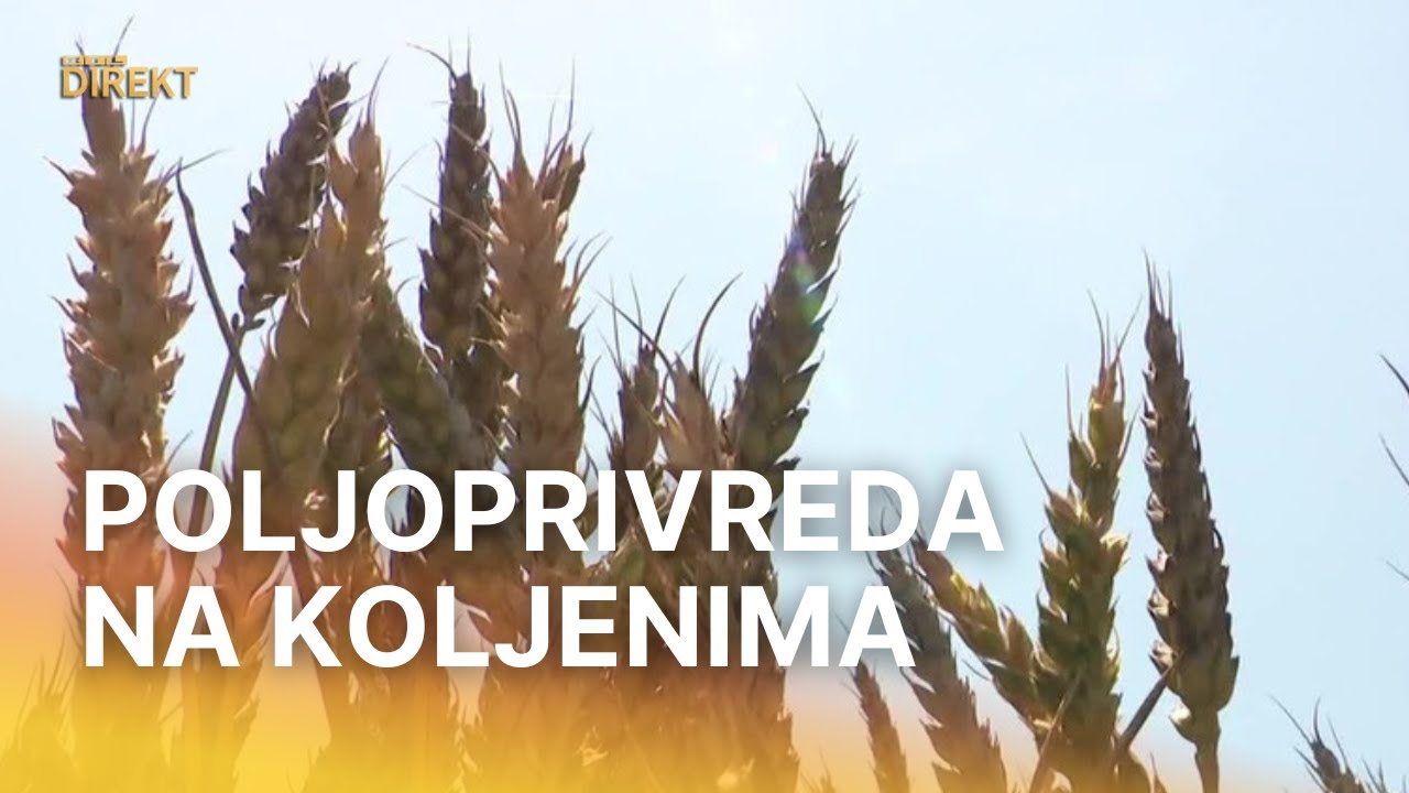 Hrvatska je poljoprivreda na koljenima. Na gotovo polovici zemljišta ne uzgaja se ništa | RTL Direkt