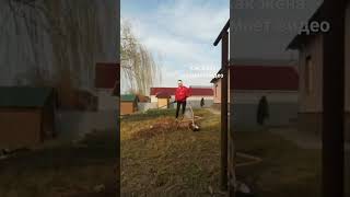 Семейное творчество💞 Деревенские будни!🌄🪴 Совмещаем работу по участку и любимое занятие!✅🏡