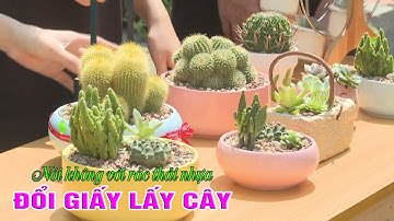 ĐIỆN BIÊN - Đổi giấy lấy cây | Nói không với rác thải nhựa | ĐTV