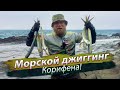 ЖОР на море. Рыбалка, открытие сезона 2019. Морской береговой джиг. Корифена. 2019/01