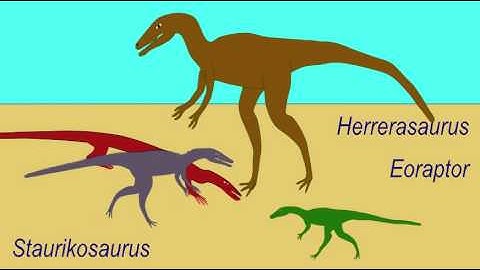 VARIATION IN BASAL THEROPOD SIZE