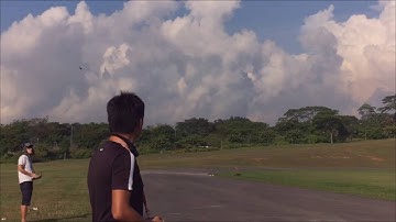 Durafly P-40N with NZ3009 graphics