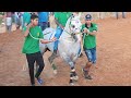 HEY BRUMMEL vence a I PENCA DA CENOURA - Corrida de cavalos