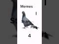 Memes I stole part 4 #funny #memesdaily #memes #trynottolaugh #fyp