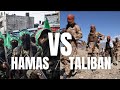 Hamas vs Taliban: What's the Real Difference?