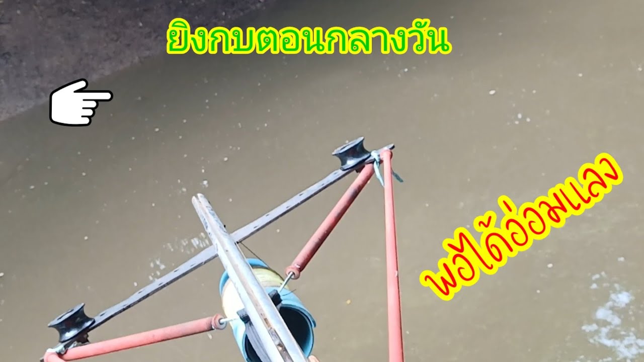 ยิงกบด้วยหน้าไม้ยิงปลา ตอนกลางวัน