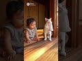 赤ちゃんと猫がいる暮らし part2 #癒し動画 #猫 #赤ちゃん