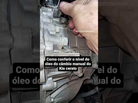 como conferir o