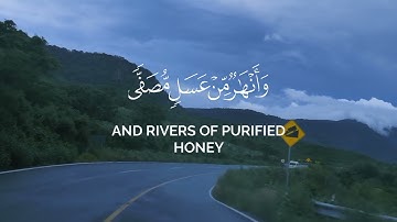 تلاوة جميلة للشيخ محمد اللحيدان #القرآن_الكريم #راحة_نفسية #محمداللحيدان #قرآن #قران_كريم #فلسطين