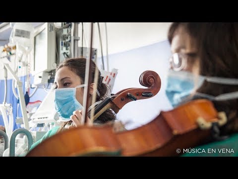 Músicos Internos Residentes de Música en Vena
