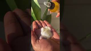 Game changer! #viral #shorts #trending #tiktok #blackgirlmagic #tiktokchallenge #washday #hairoil