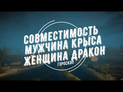 Совместимость мужчина Крыса и женщина Дракон