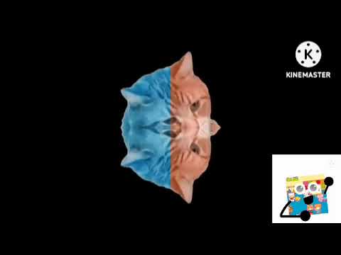 Piano cat with effects part 8