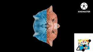 Piano Cat With Effects Part 8