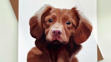 Digital Pet Portrait Procreate Time-lapse painting