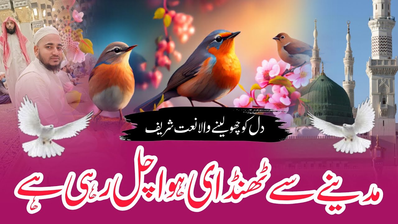 New Beautiful Naat Sharif | Mere Darde Dil Ki Dawa Chal Rahi Hai | Heart Touching Naat Sharif 2026