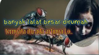 5 Tanda dan makna tersembunyi jika banyak lalat di rumah
