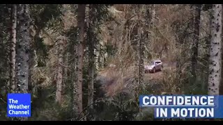 Love Life, Love Subaru Uk