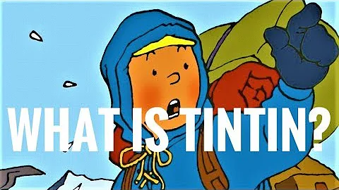 What is THE ADVENTURES OF TINTIN? : An Introduction to the Classic Comics Series by Hergé - DayDayNews