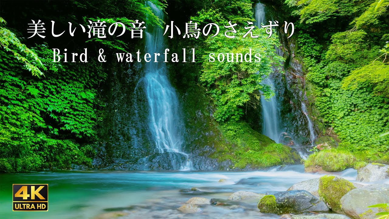 鳥のさえずりと滝の音 川のせせらぎ 自然環境音 ASMR 森の中 癒し リラックス BGM - YouTube