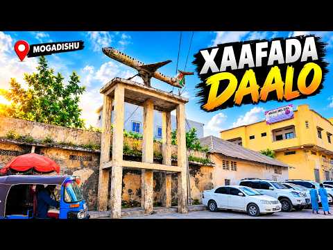 WALI WAA DHISANTAHAY DAALO MAXAAD KU XASUSATA XAFADAN