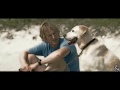 marley and me .wmv