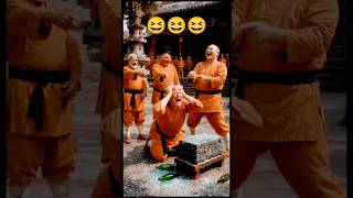 Shaolin Training Gone Wrong 😱🔥 | Epic Monk Challenge #ai #aivideo #aigenerated #aianimals #ytshorts