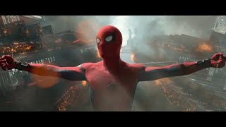 Spider - Man. Homecoming (Pillar)