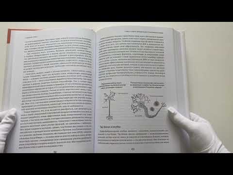 Устойчивый мозг. Как сохранить мозг продуктивным в любом возрасте Устойчивый мозг. Как сохранить мозг продуктивным в любом возрасте