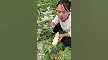 Beautiful Nature Inspur Fresh Fruit Wonderful Video Of Industry 8425 