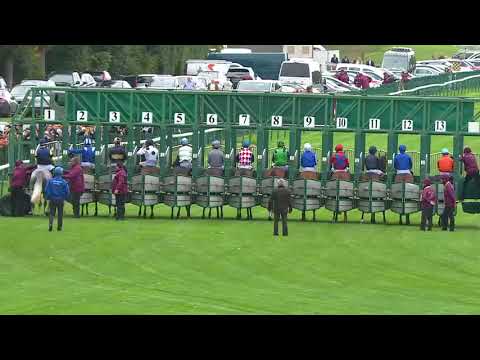 Vidéo: Dans une course de chevaux il y a 18 chevaux ?