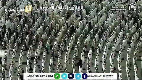 قال تعالى (إن الله وملائكته يصلون على النبي ...) القارئ | ماهر المعيقلي 🌸🎧