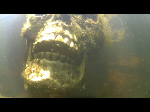 Video: Vond Op Ongebruikelijke Plaatsen Een Oeroude Kikkervis Met Tanden. - Alternatieve Mening