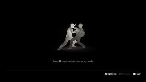 The Last of Us Part II Gameplay Walkthrough PART 27 - THE ISLAND.