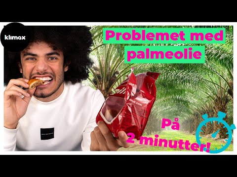 Forstå problemet med palmeolie på to minutter | KLIMAX