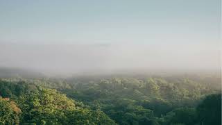 Download Lagu ALUNAN MUSIK RELAKASASI PENENANG PIKIRAN MP3