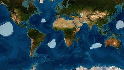 Pollution : qu'appelle-t-on le continent plastique ? | AFP Animé